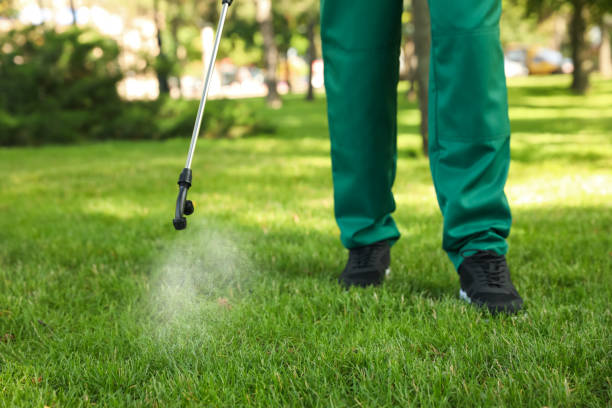 Best Pest Exclusion Services  in Mountain City, GA